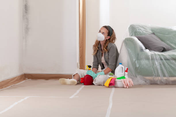 Reliable Black Mold Removal contractor in Sayville, NY by WQB Mold Removal